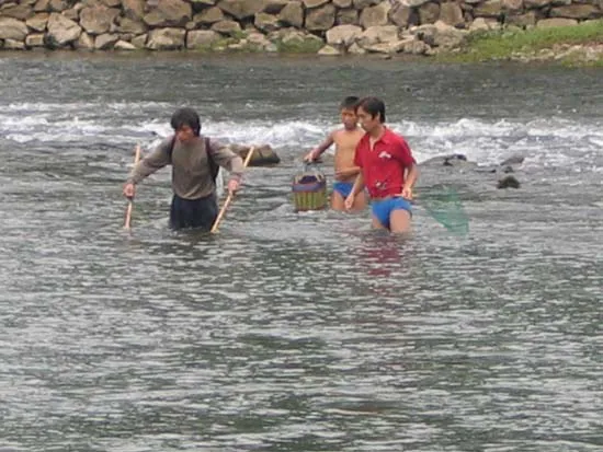 Img220370676.webp