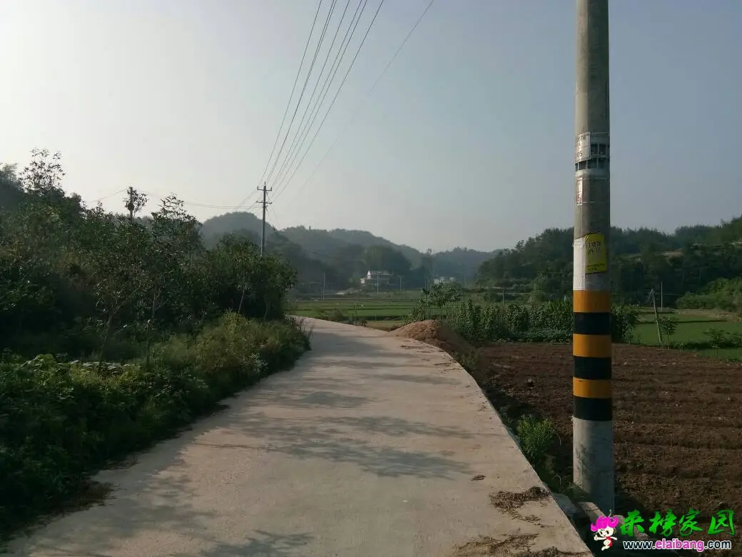 222456xzmxwoole1t10p5l.webp
