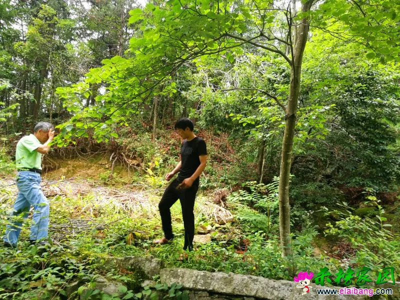 微信图片_20180702214613.webp