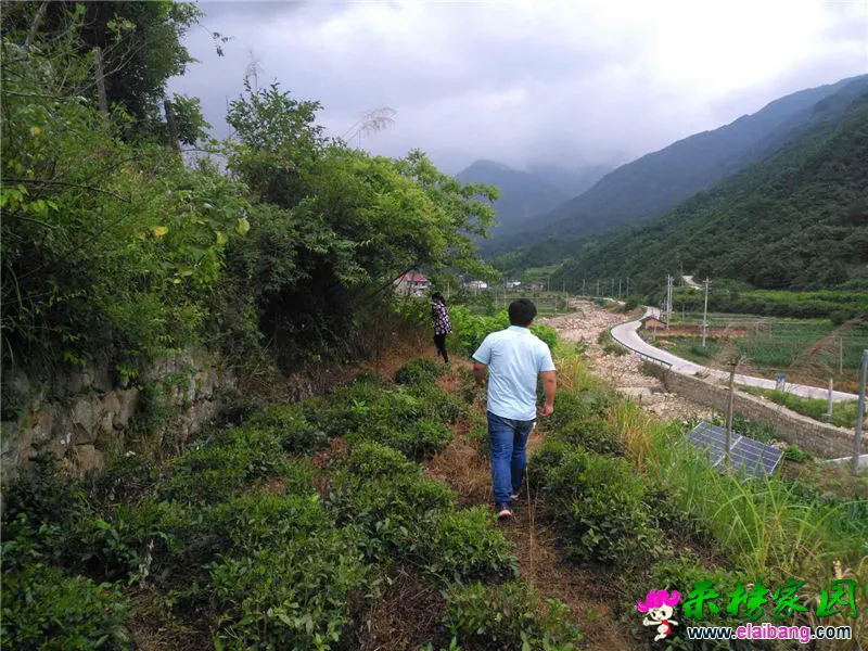 微信图片_20180702214616.webp