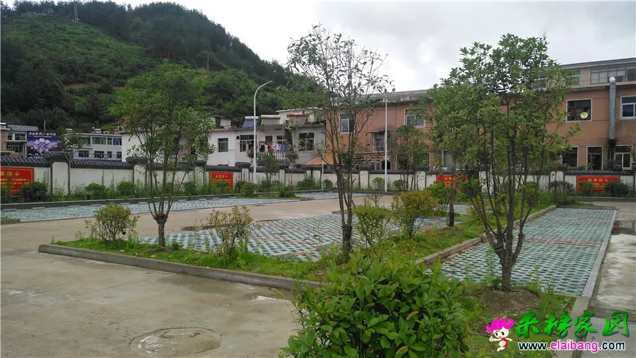 微信图片_20180707215816.webp