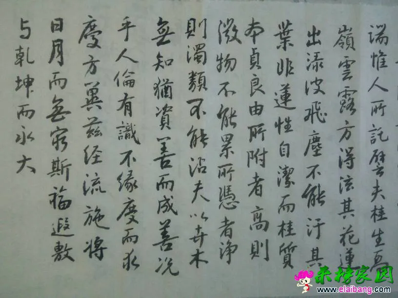 101959dkohkrggfookbdod.webp