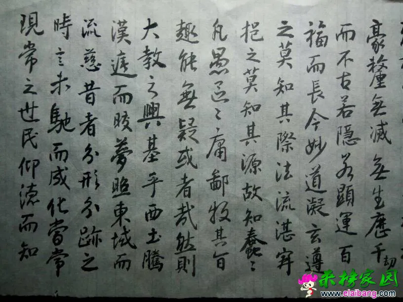 102001y9r82oy6o0r098sx.webp