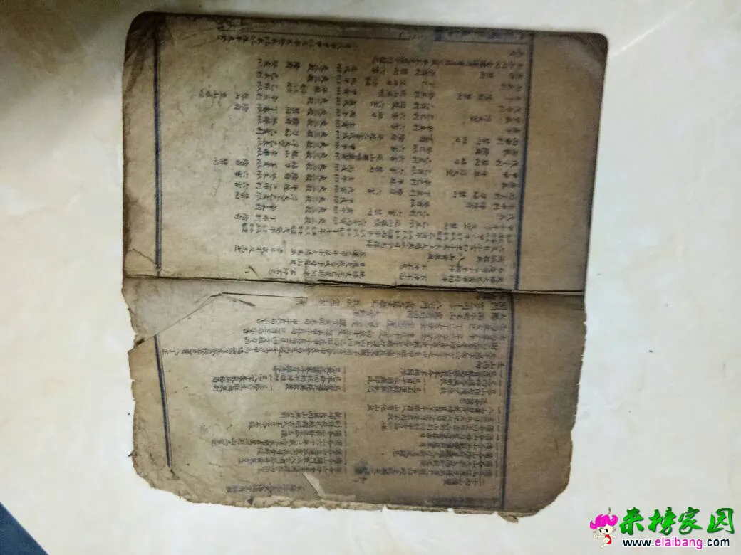 220902i2110ezjsszk16g6.webp