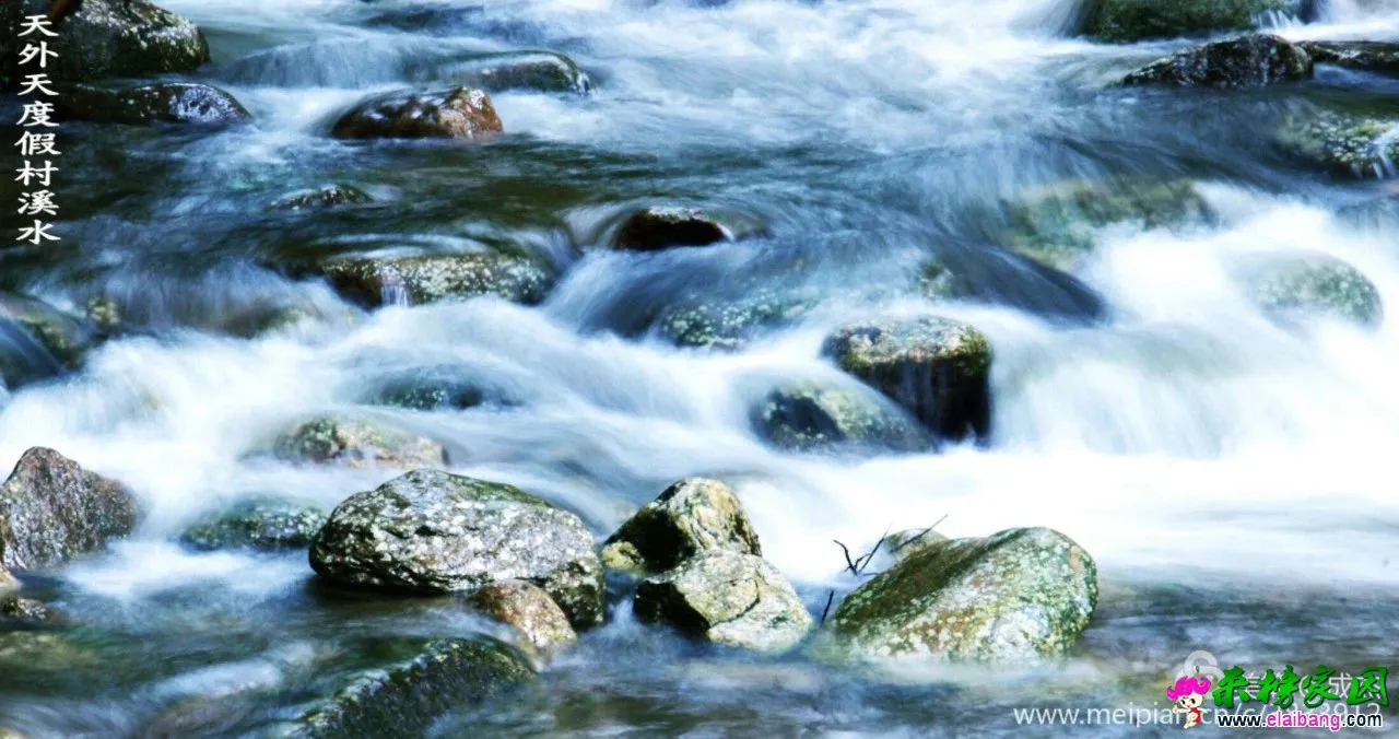 6f92504845cae3c5acb5410a480ae371.webp