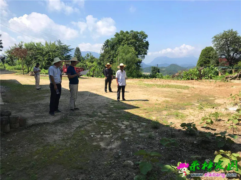 微信图片_20180714211534.webp