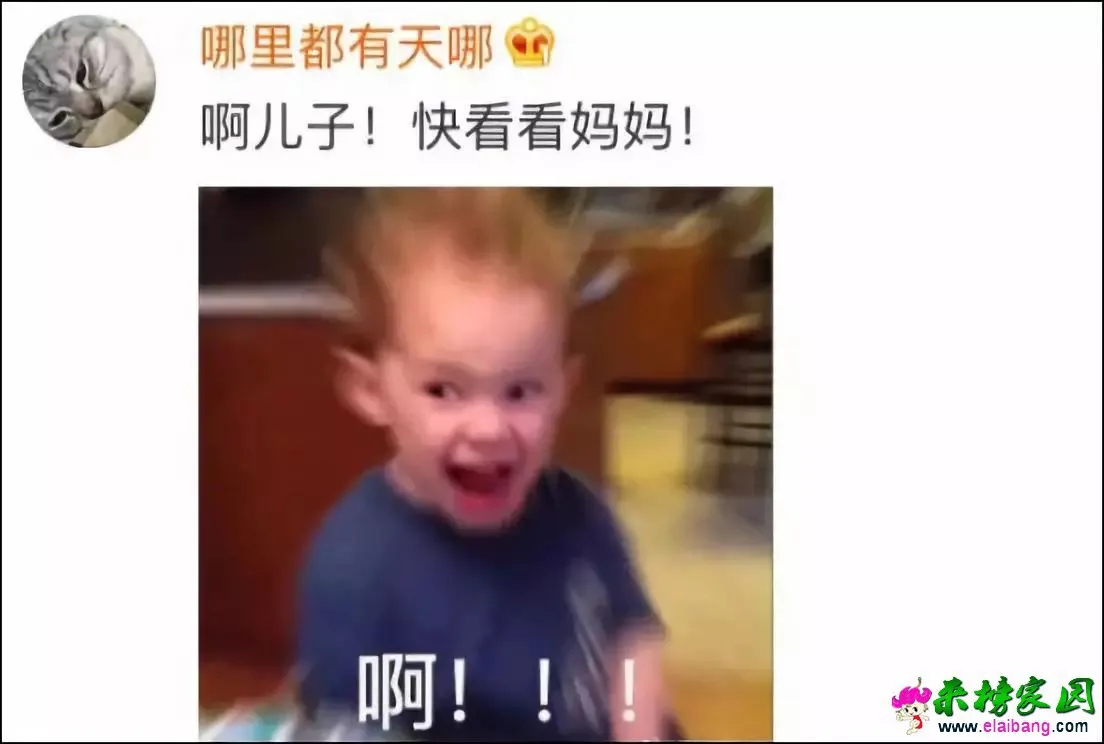 b73a21e025173b284654271d781ec247.webp