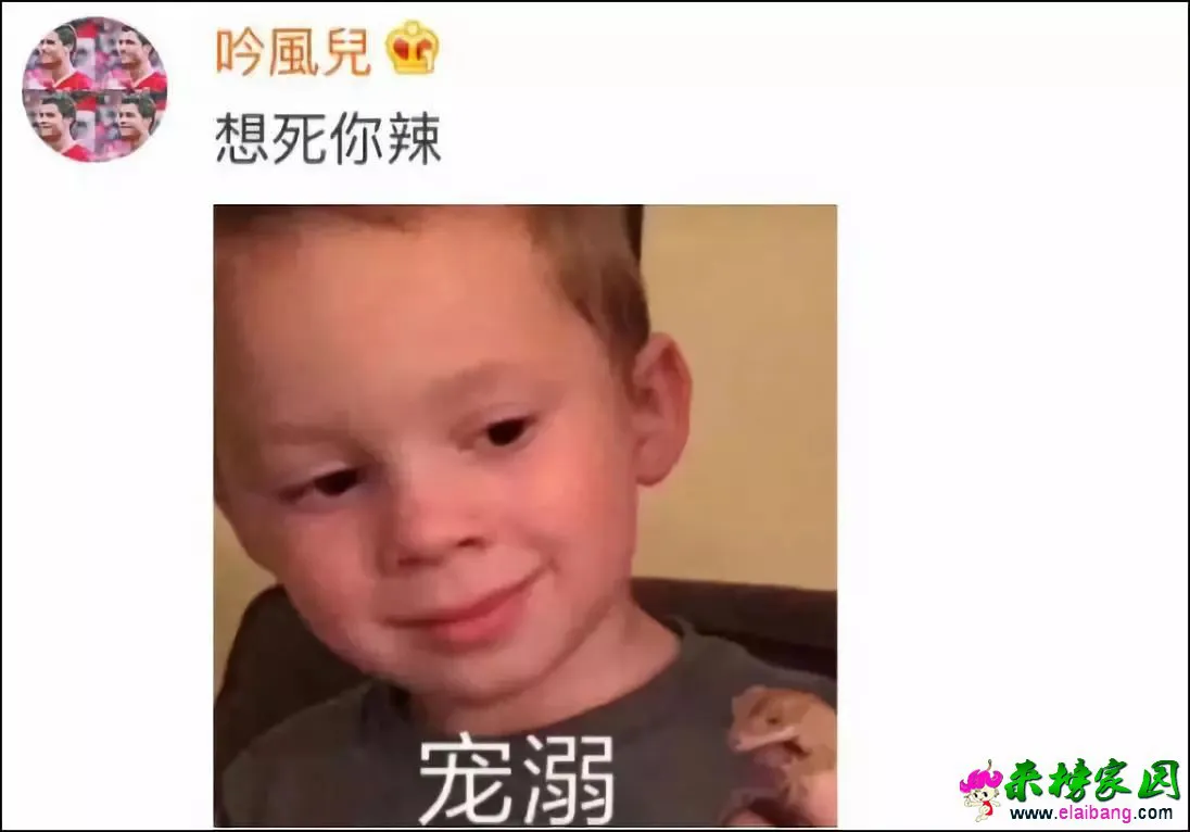 81ffe01e7deb2c83e5c1759e4c5090e8.webp