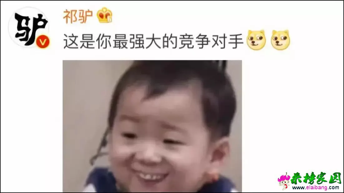 12f34323f1c1c7ac600cb348a006afdd.webp