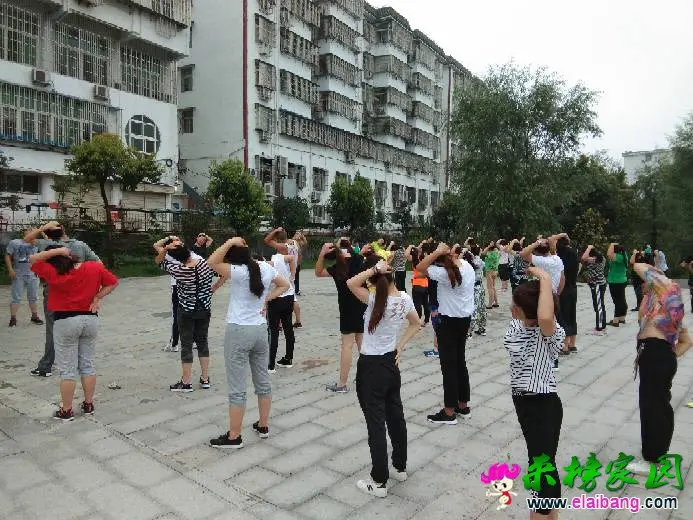 231456ydz85588v7gd36ve.webp