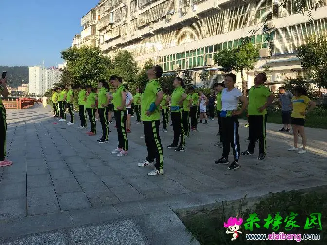 231504gza8bnibibse463a.webp