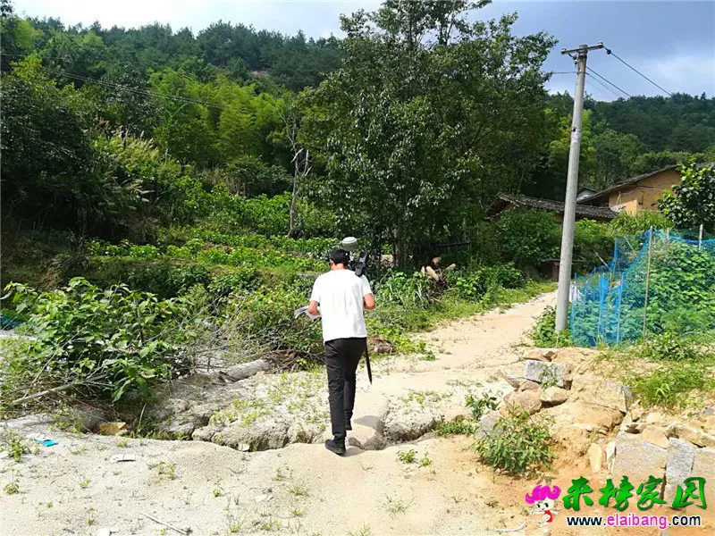 微信图片_20180715195847.webp