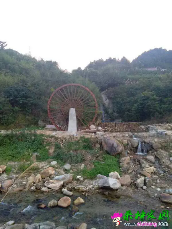 222406agihgoxvovivg72o.webp