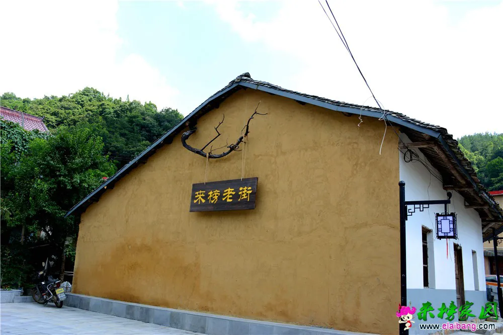 DSC_5504.webp