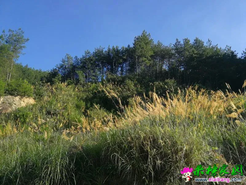 9905700a0cf01e61926ab845276c41bf.webp