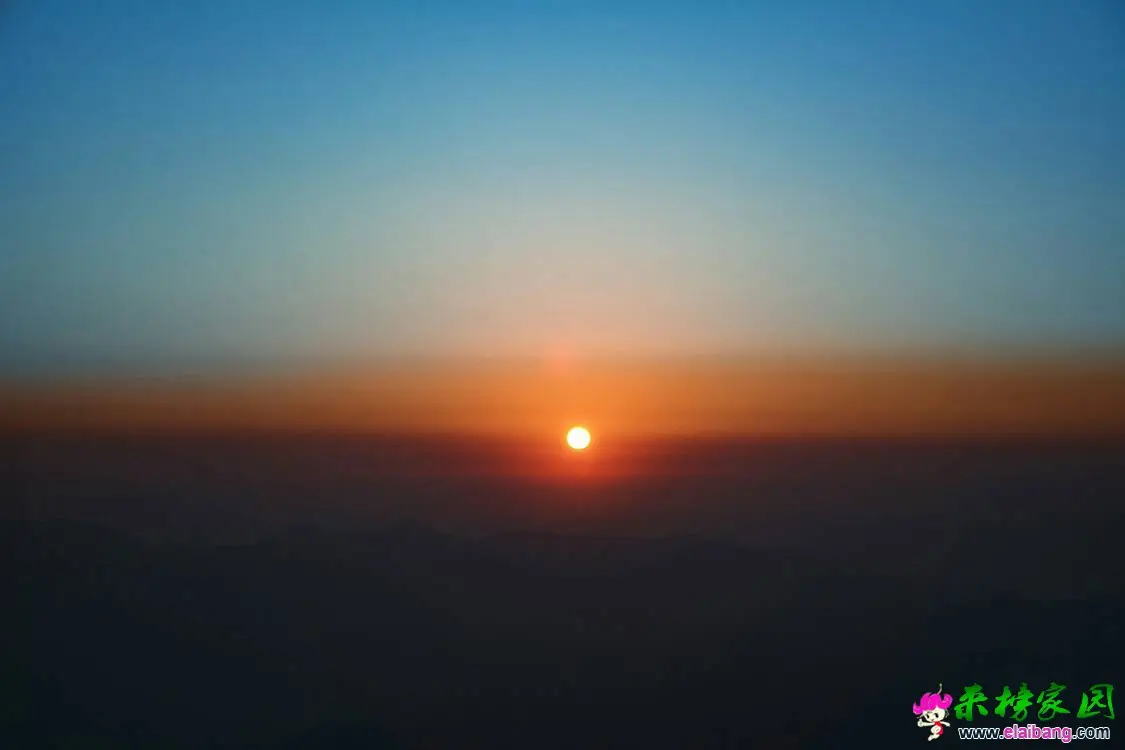 212041cs39nzdd9n9znjp3.webp