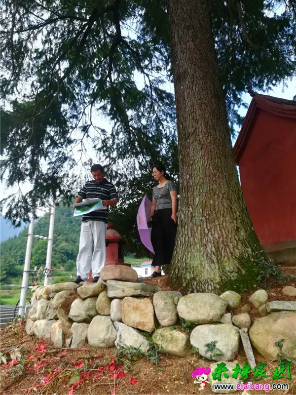 微信图片_20180726204935.webp