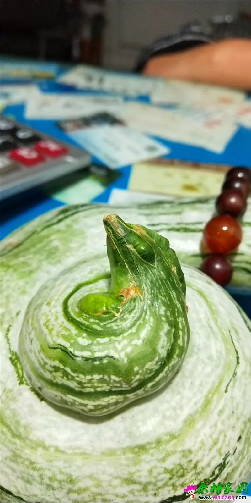 微信图片_20180728211850.webp