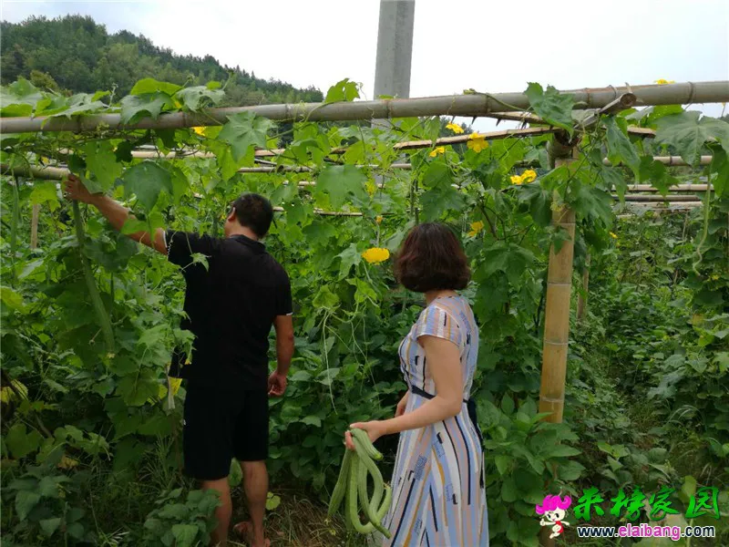 微信图片_20180730195531.webp