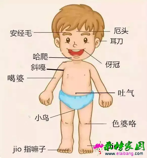 bb279a8713ea7ad4b5527ed8eed86619.webp