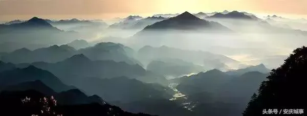 9f6767984d66cda334d65612220f7ee9.webp