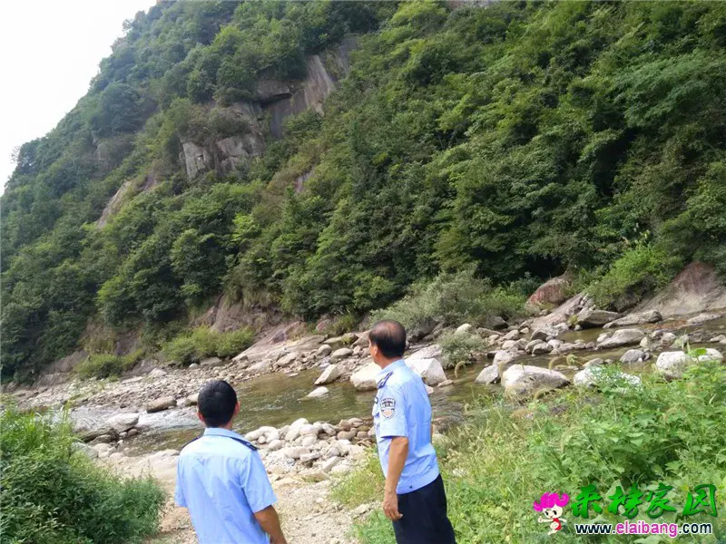 7.webp