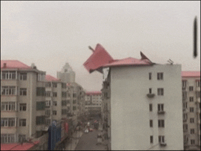 t01dccb54169379bba2.gif