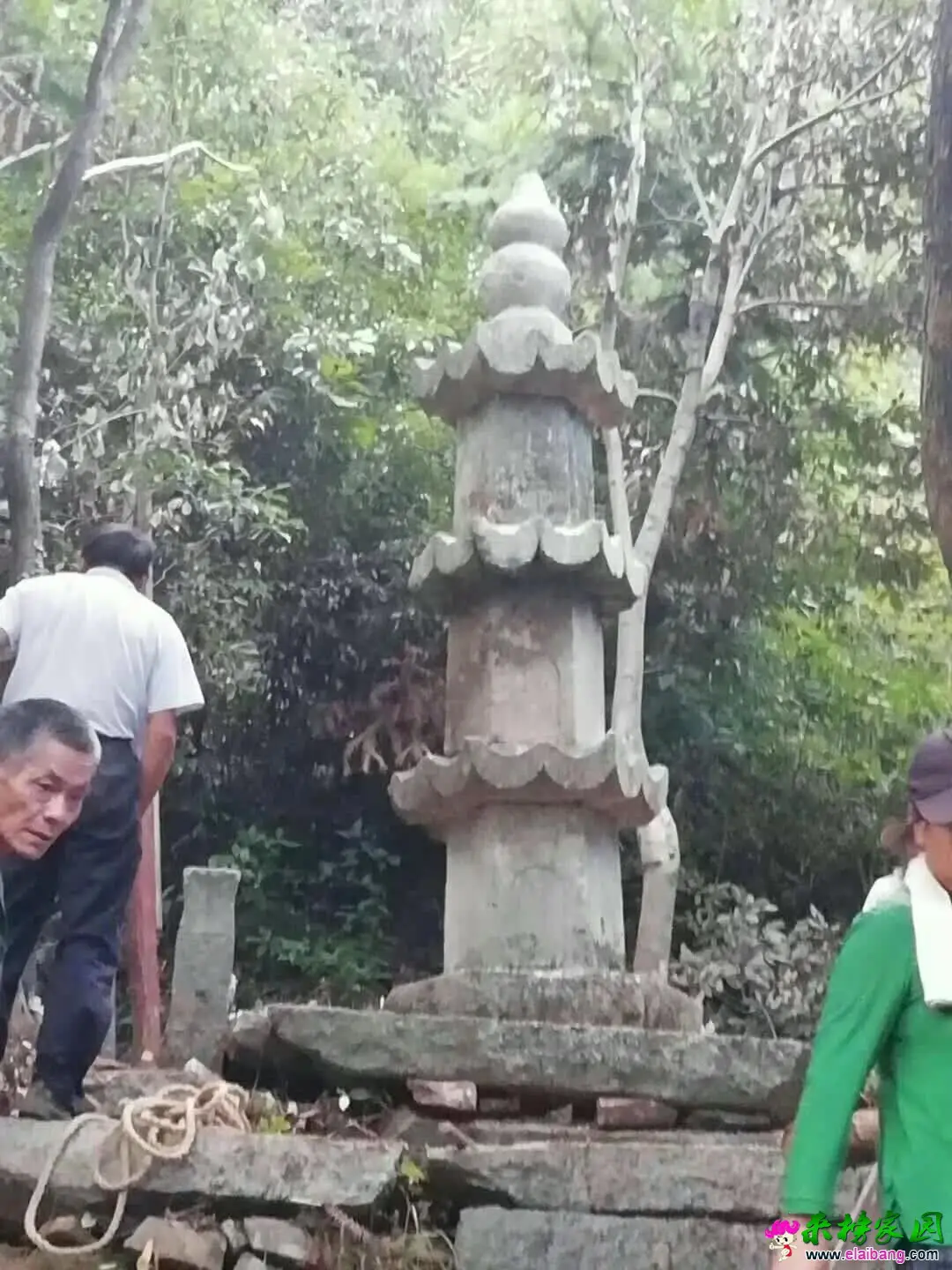 微信图片_20180822215734.webp