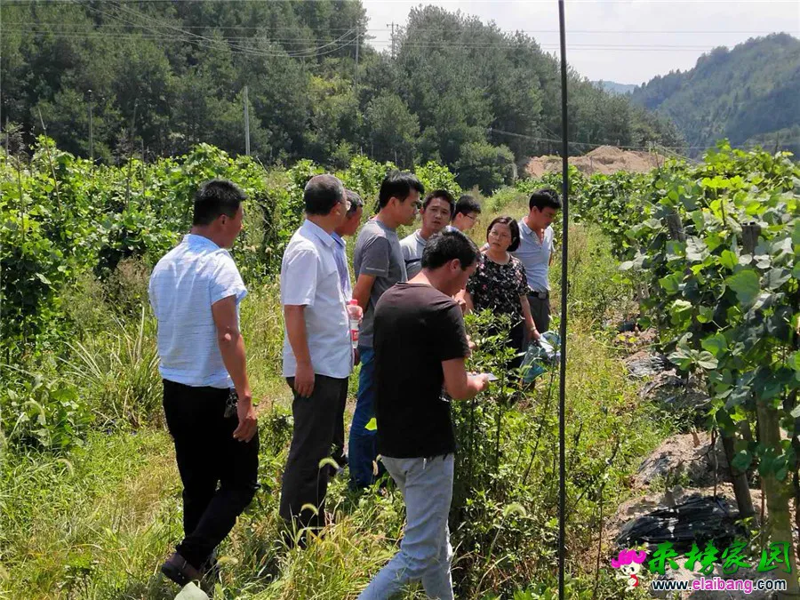微信图片_20180825211120.webp