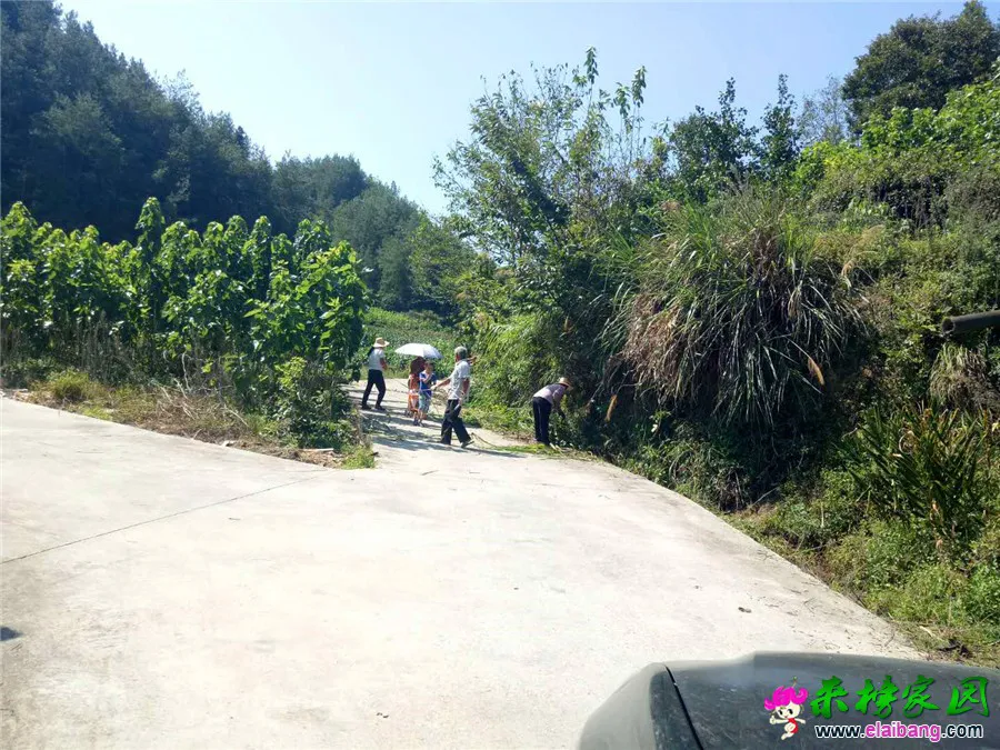 微信图片_20180825211151.webp