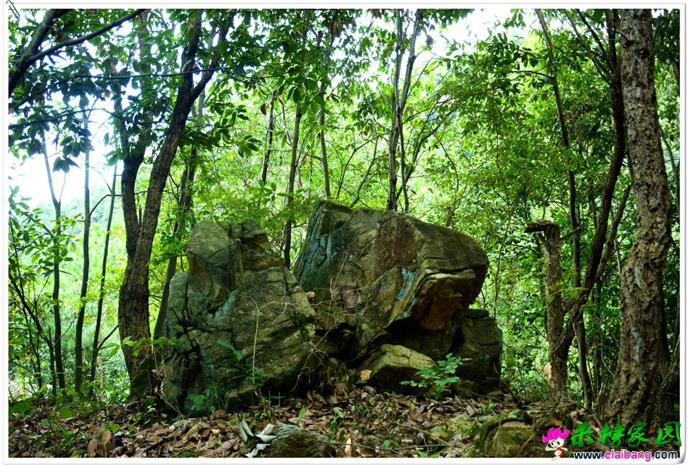 DSC_5785.webp
