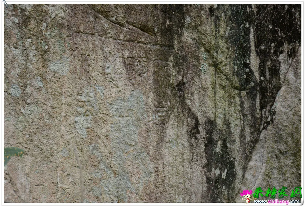 DSC_5790.webp