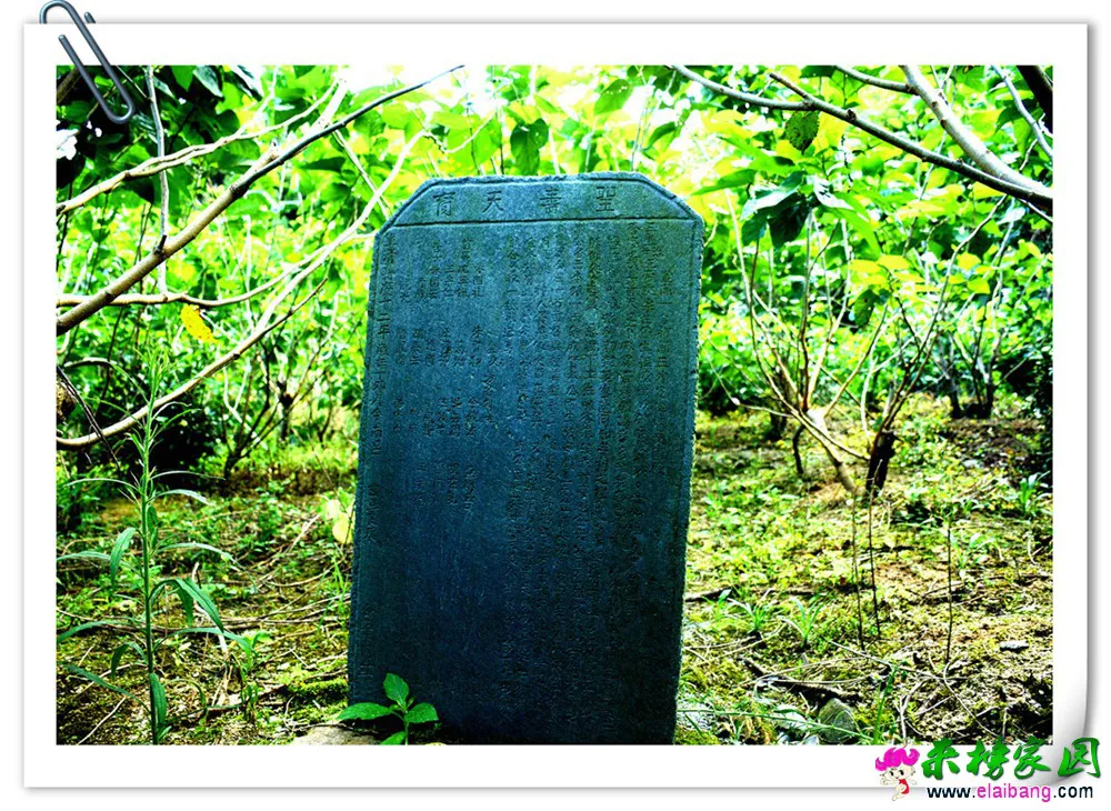 DSC_5795.webp