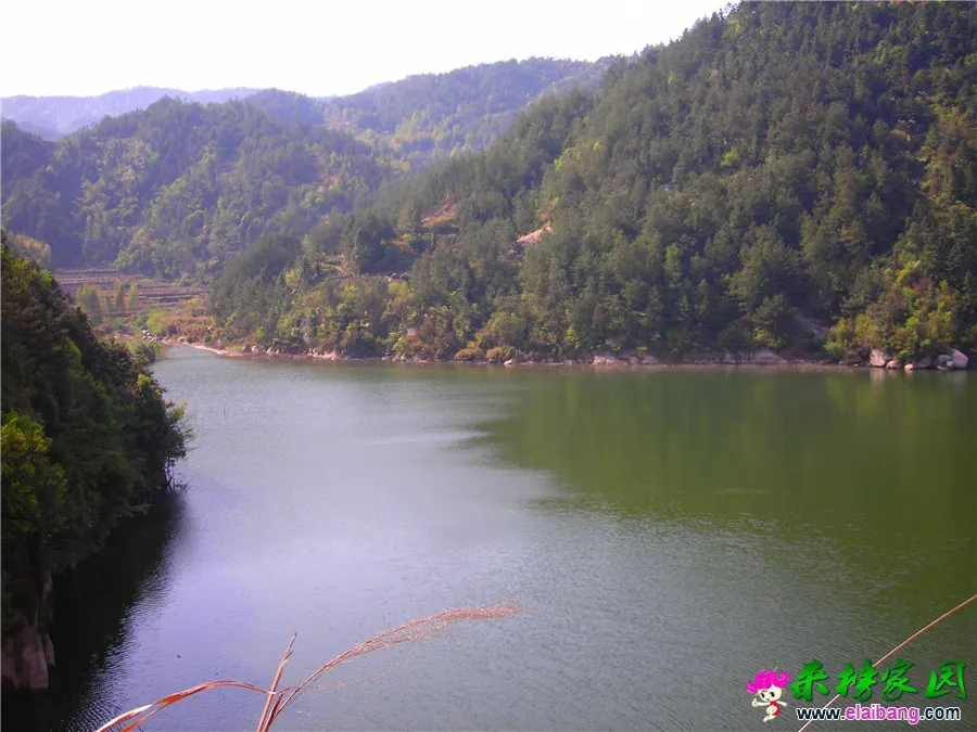 DSCN1310.webp