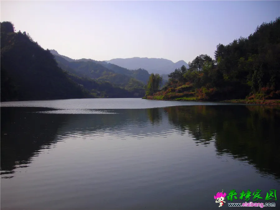 DSCN1327.webp