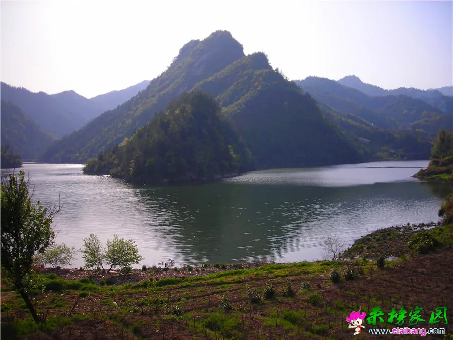 DSCN1322.webp