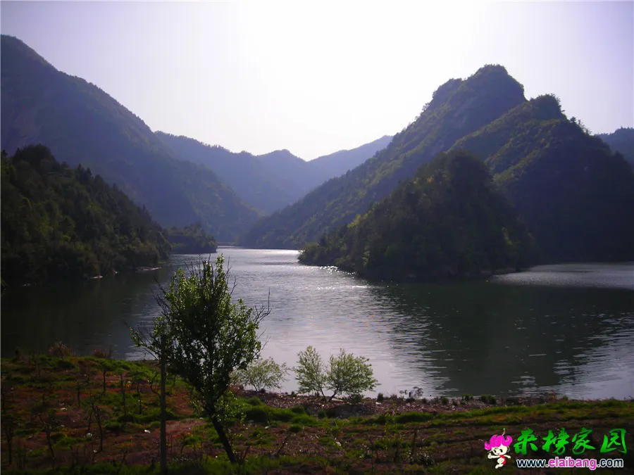 DSCN1321.webp