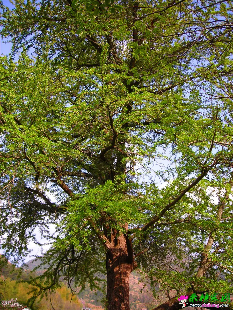 DSCN1316.webp