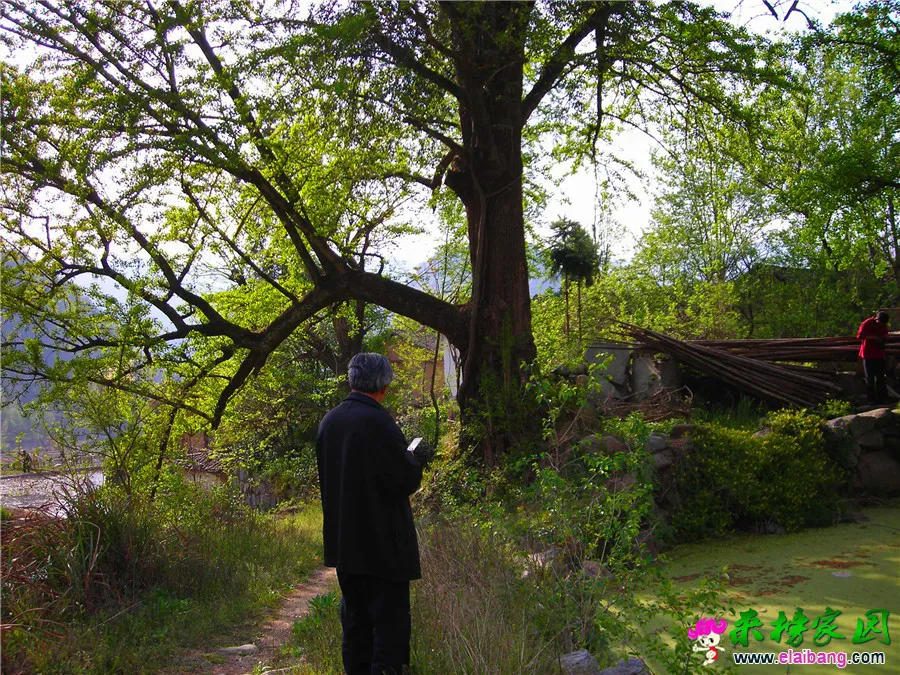 DSCN1318.webp