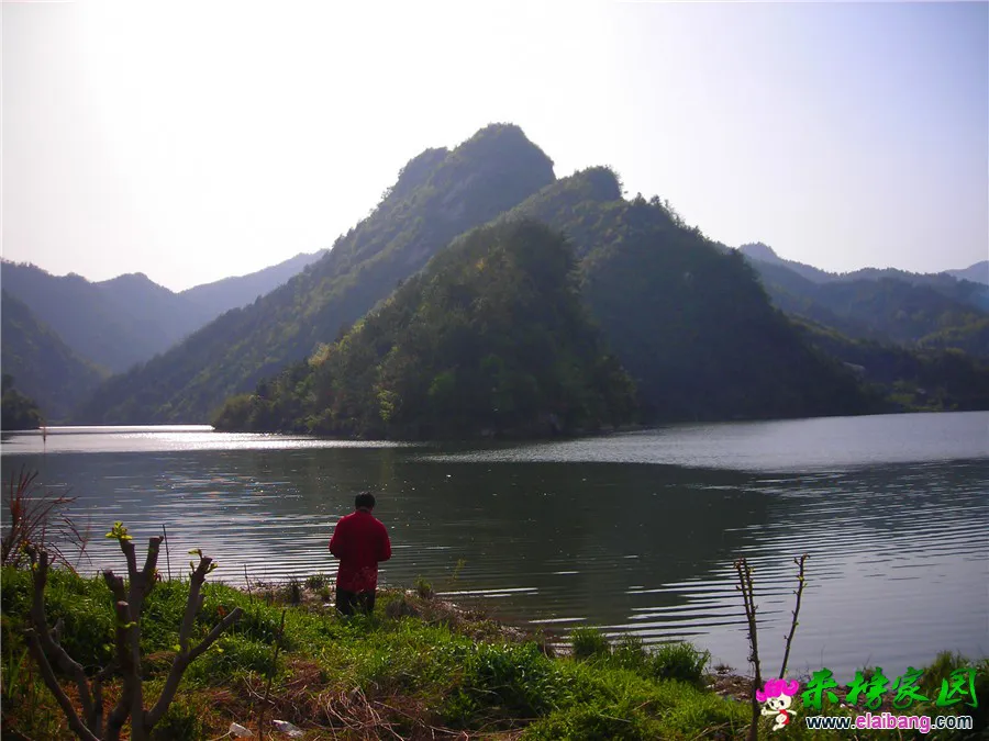 DSCN1323.webp
