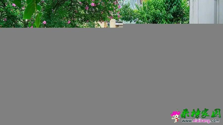 19aeb5bbd92f42b5456f598a344ca71a.webp