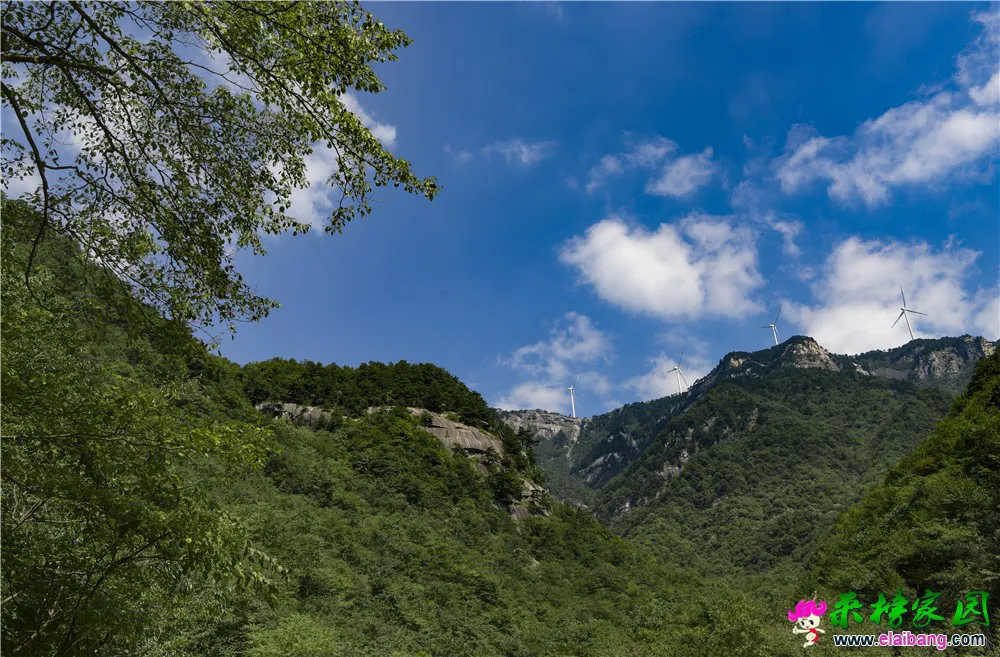 06.webp
