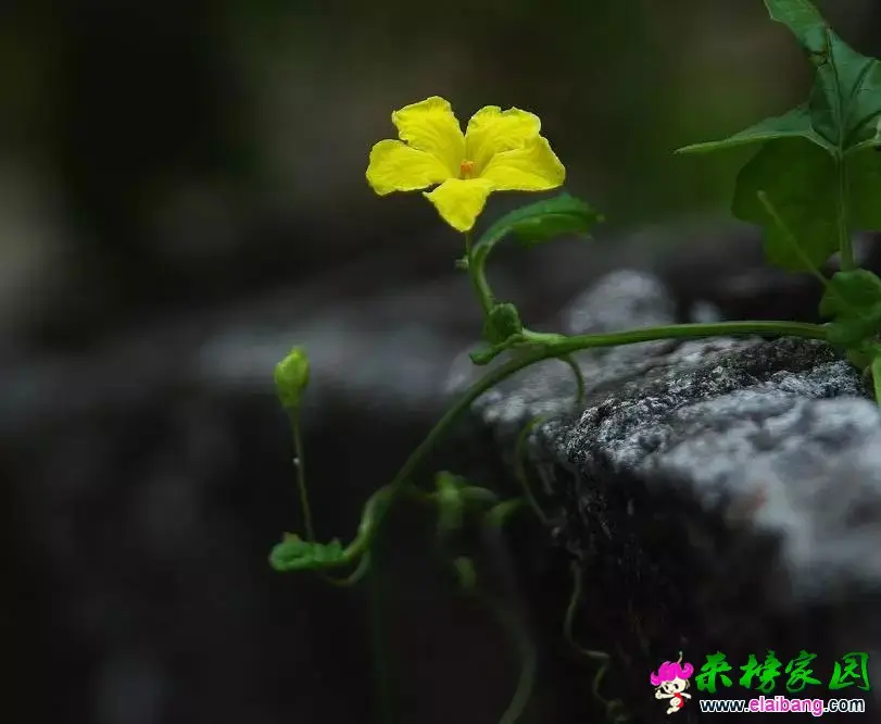 1f4e6dcef2be1285240563e75da2c944.webp