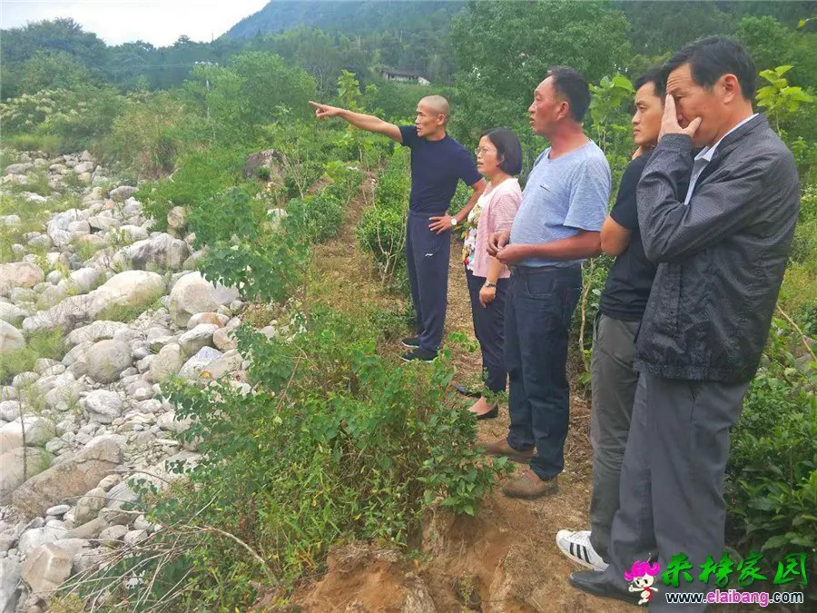 微信图片_20180913214413.webp