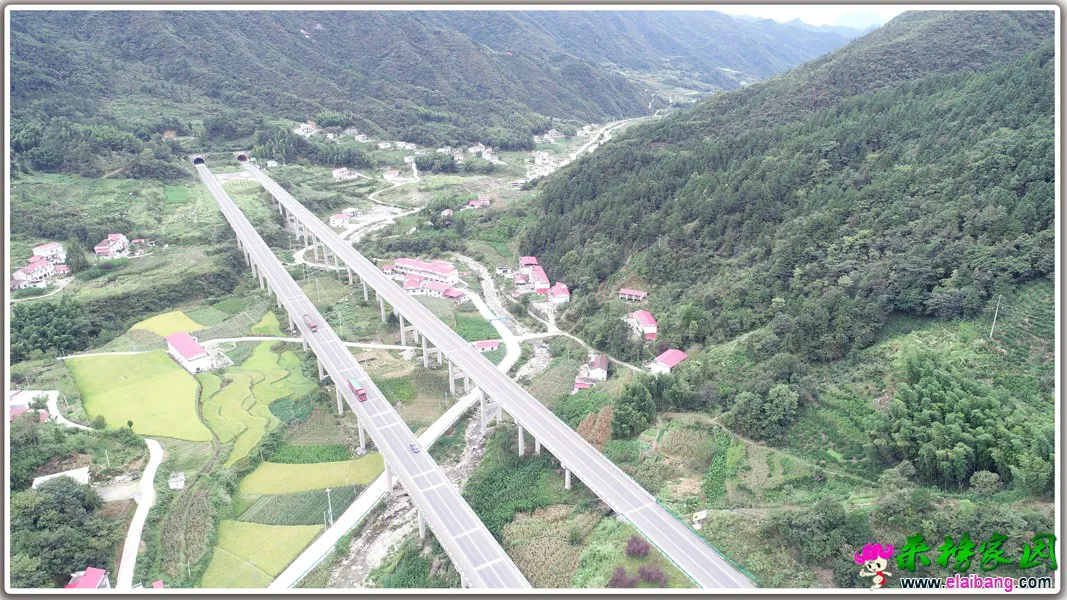 12.webp