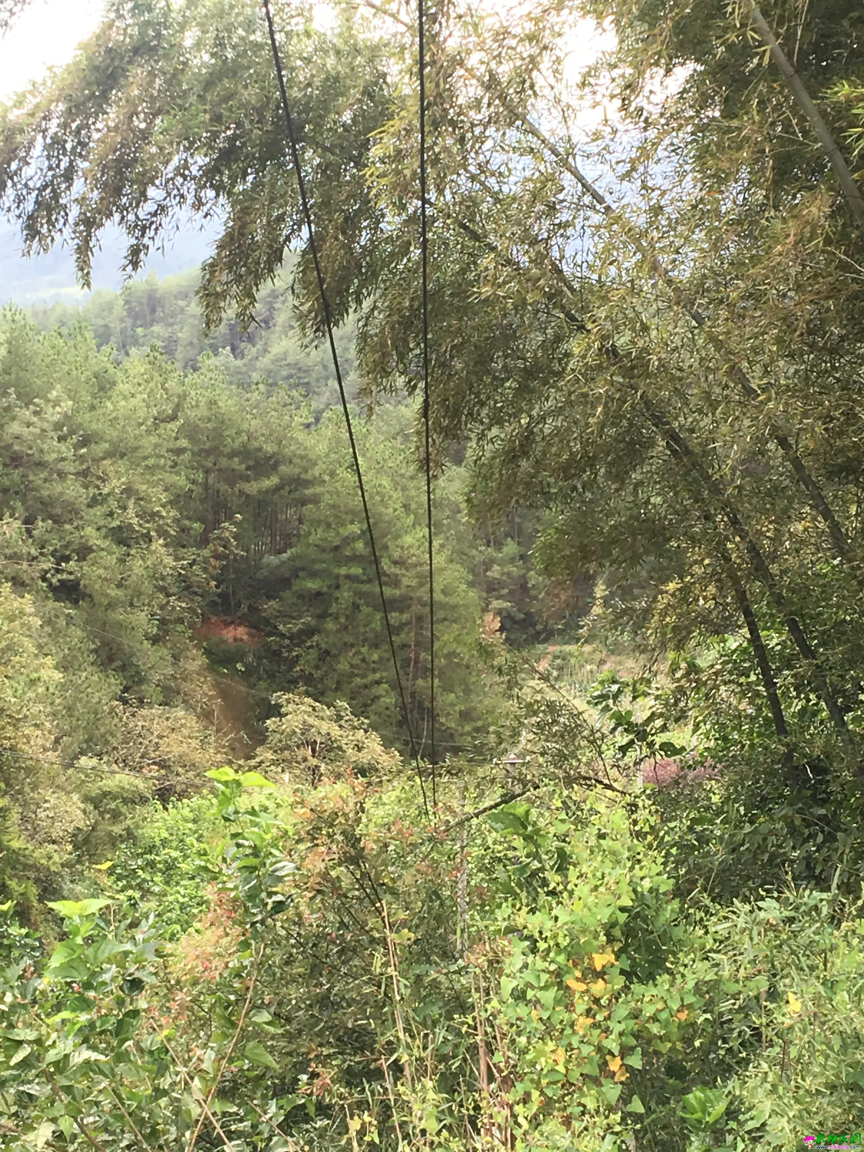 微信图片_20180923180013.webp