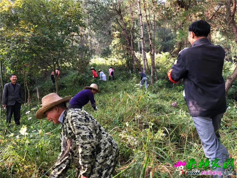 微信图片_20181003210357.webp