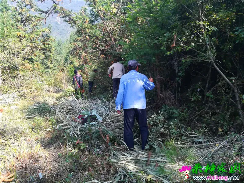 微信图片_20181005212627.webp
