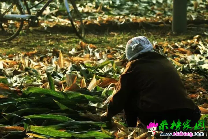 b4abae80b3af0550cfc0d303e02bb14d.webp