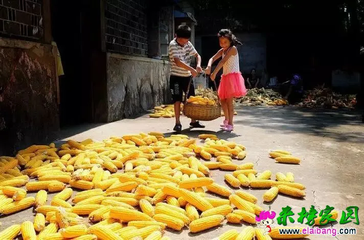 4b1a497597959d1aacd10f438fb9a4b7.webp
